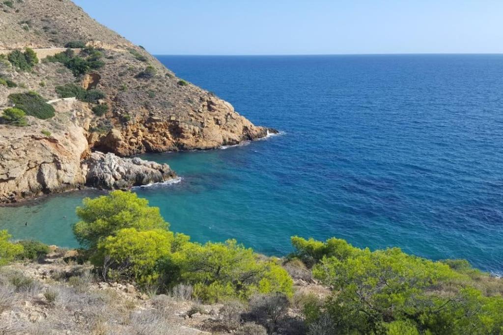 Piso En La Primera Linea Del Mar Con 2 Dormitorios Benidorm Eksteriør billede