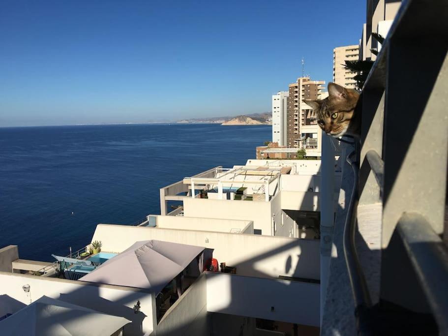 Piso En La Primera Linea Del Mar Con 2 Dormitorios Benidorm Eksteriør billede