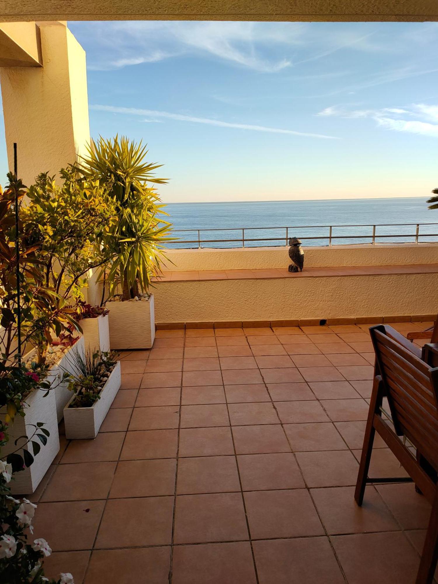Piso En La Primera Linea Del Mar Con 2 Dormitorios Benidorm Eksteriør billede